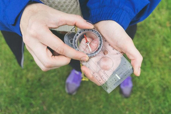 Comment planifier une visite des sanctuaires de faune marine en Nouvelle-Zélande?
